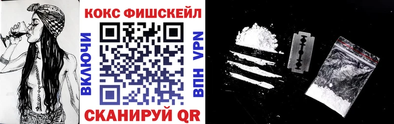 hydra как войти  Каменногорск  Cocaine VHQ 